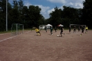 Cup der Freundschaft 2015_8
